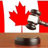 Woody Vapes Ecigs Wholesale Woody Vapes Ecigs Wholesale