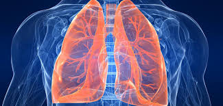 Demon Killer Wholesale Demon Killer Wholesale