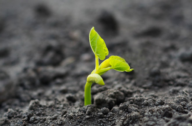 Digiflavor Wholesale