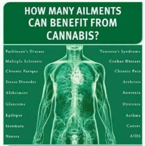 Electronic Cigarettes