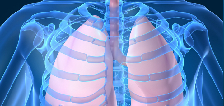 Demon Killer Wholesale Demon Killer Wholesale